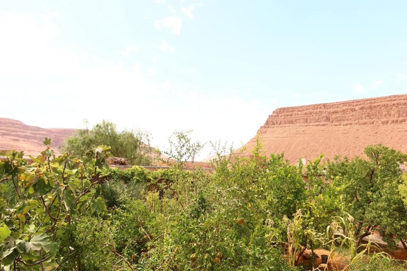 Gite D'Etape Ziz Oasis Achbarou Bagian luar foto
