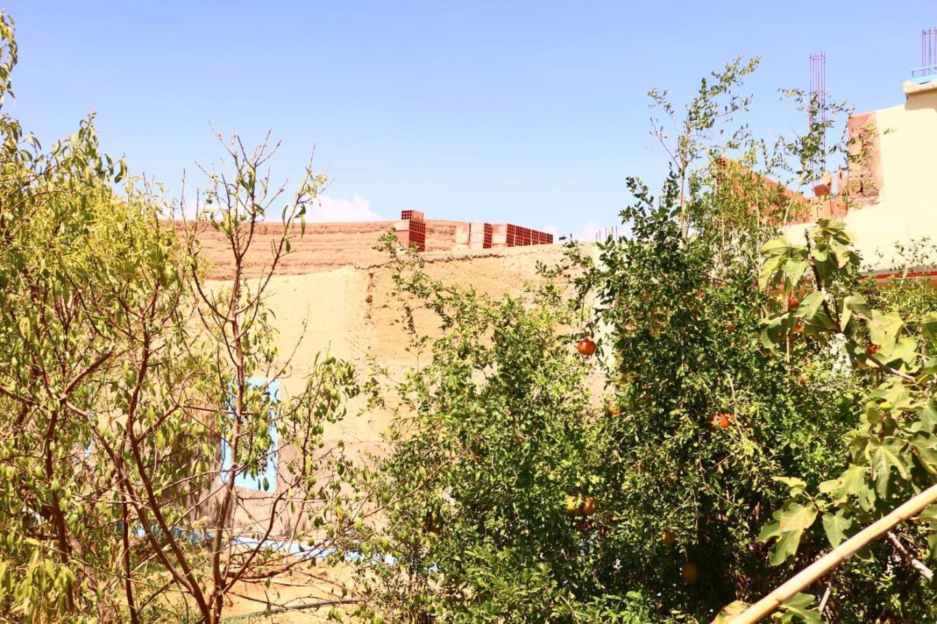 Gite D'Etape Ziz Oasis Achbarou Bagian luar foto
