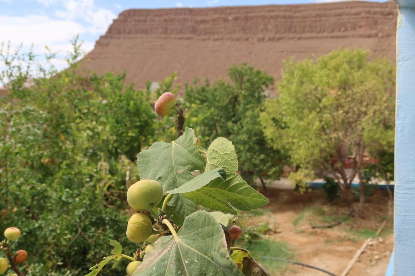 Gite D'Etape Ziz Oasis Achbarou Bagian luar foto