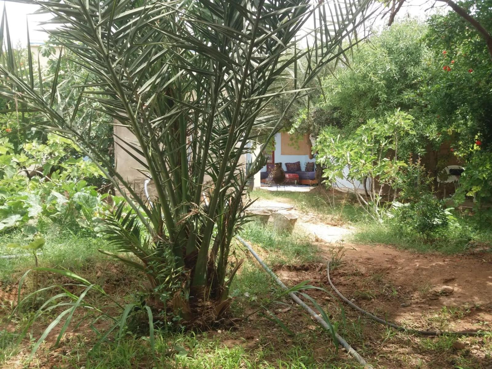 Gite D'Etape Ziz Oasis Achbarou Bagian luar foto